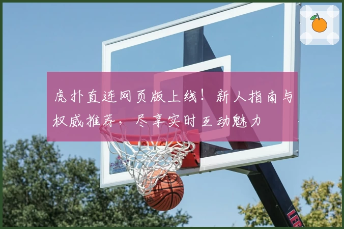 虎扑直连网页版上线！新人指南与权威推荐，尽享实时互动魅力